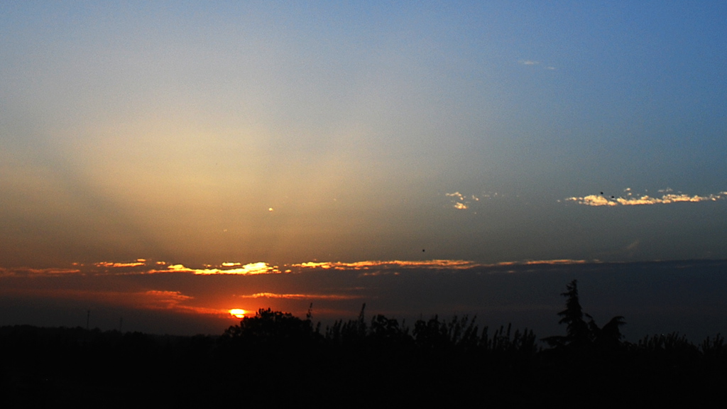DSC_1494.JPG