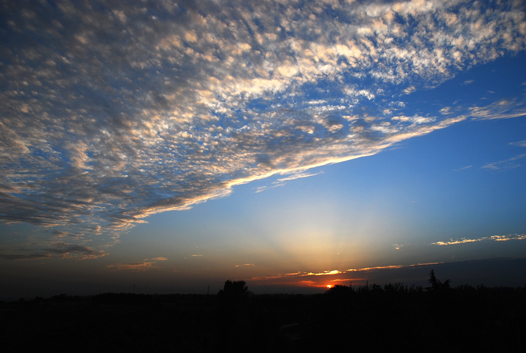DSC_1496.JPG