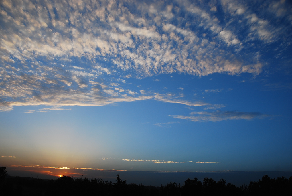 DSC_1498.JPG