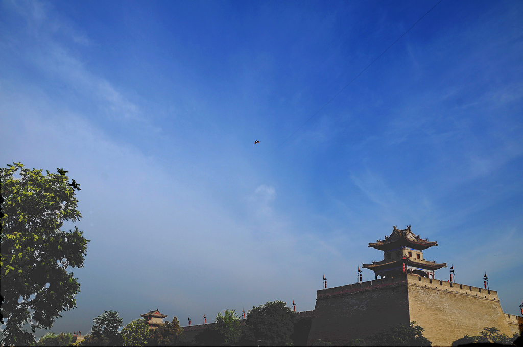 DSC06986-g-2.jpg