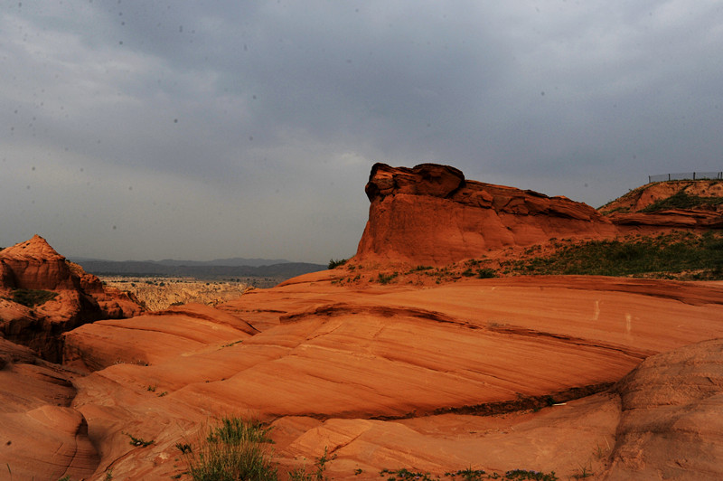 DSC_3187_.jpg