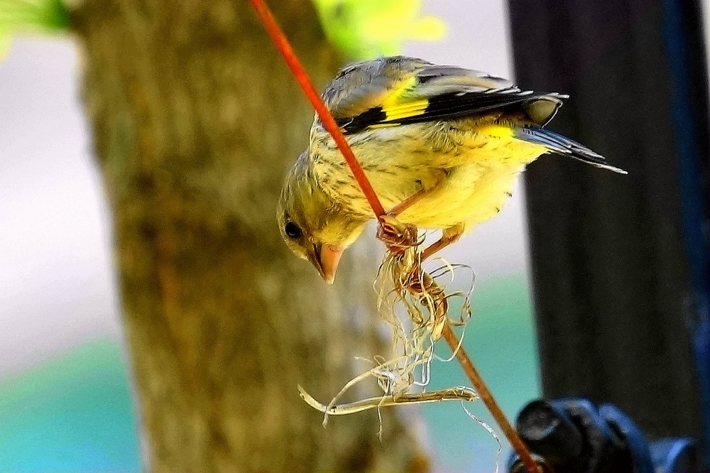DSC08358.jpg