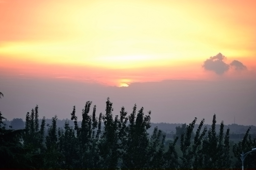DSC_0013.jpg