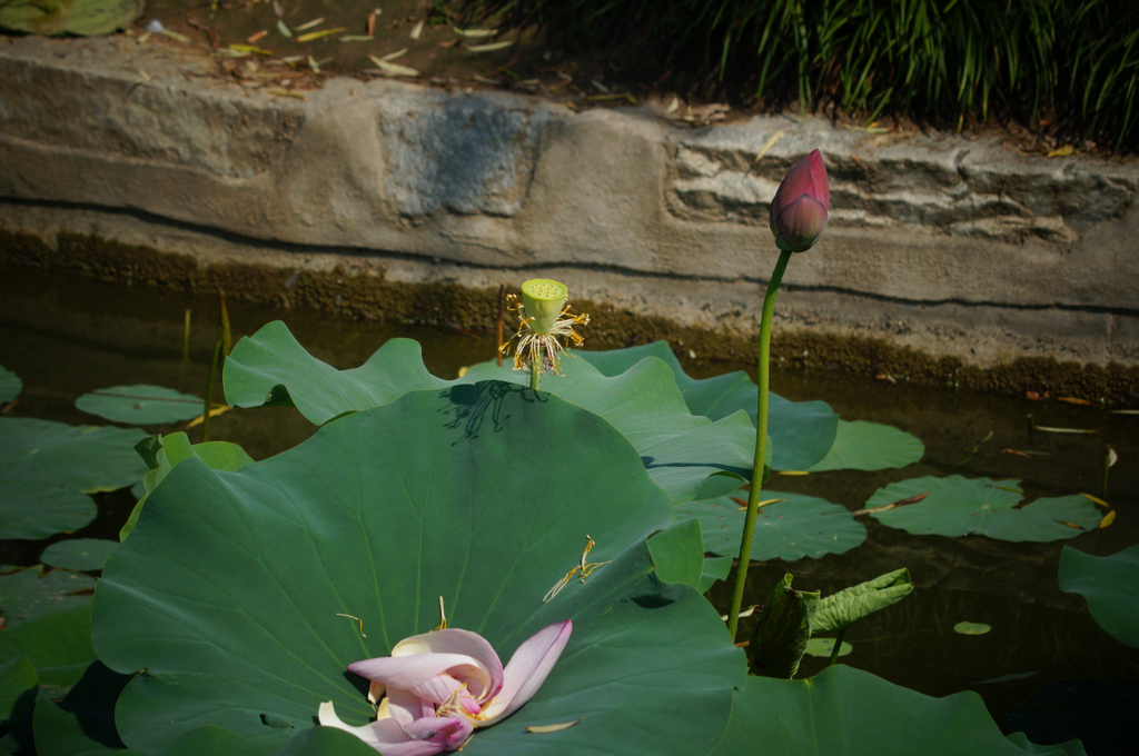 DSC09559-g-2.jpg