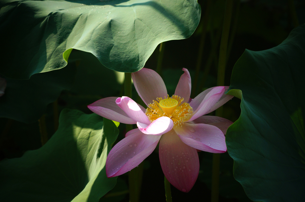 dsc9507-g-2.jpg