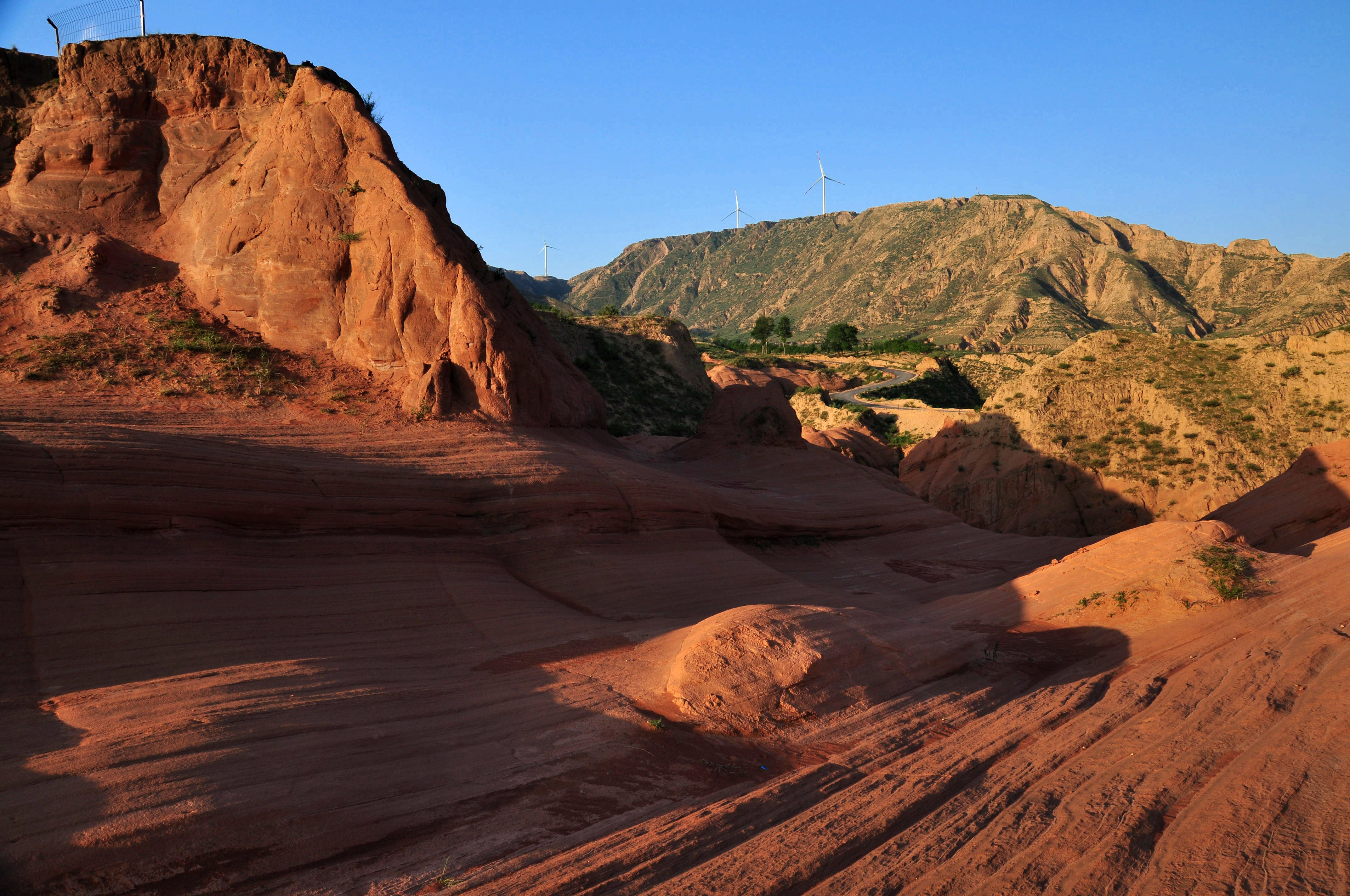 DSC_0652_.jpg