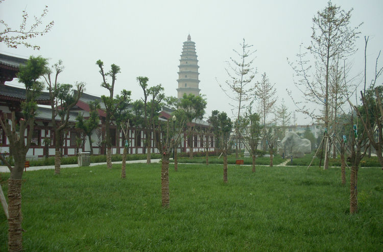SL382222_1.jpg