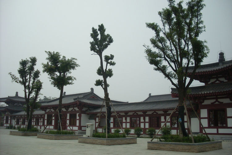 SL382220_1.jpg