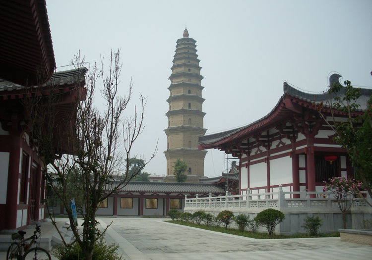 SL382176_1.jpg
