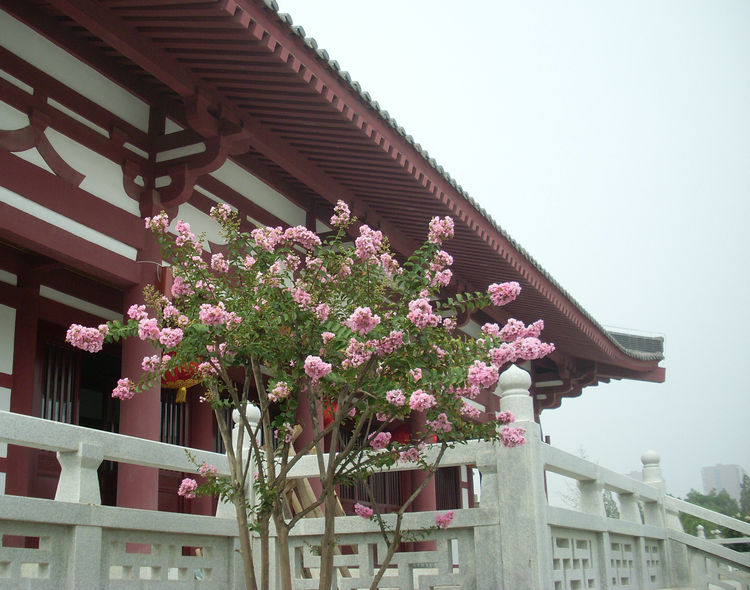 SL382192_1.jpg