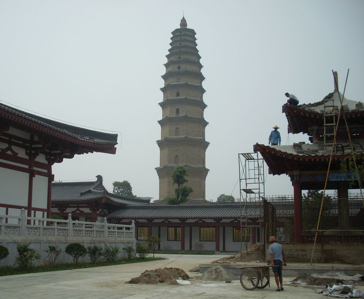 SL382217_1.jpg