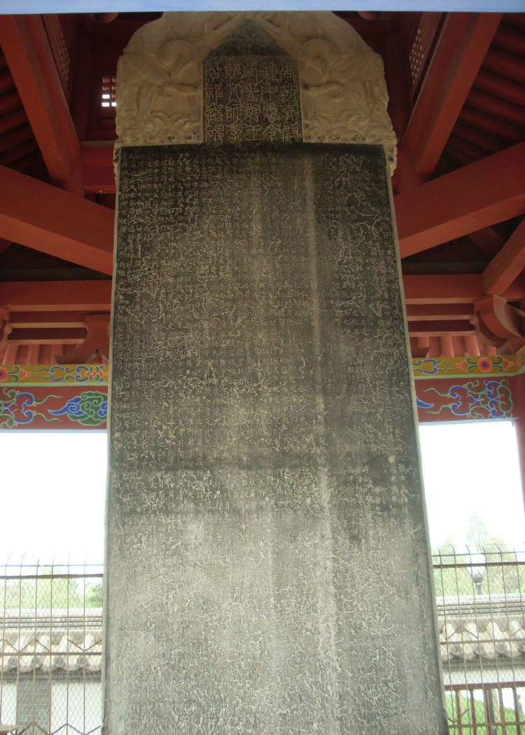 SL382205_1.jpg