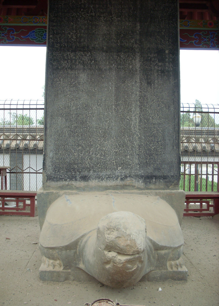 SL382204_1.jpg