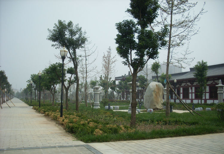 SL382213_1.jpg