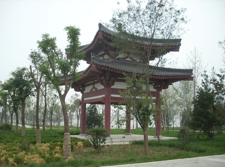 SL382223_1.jpg