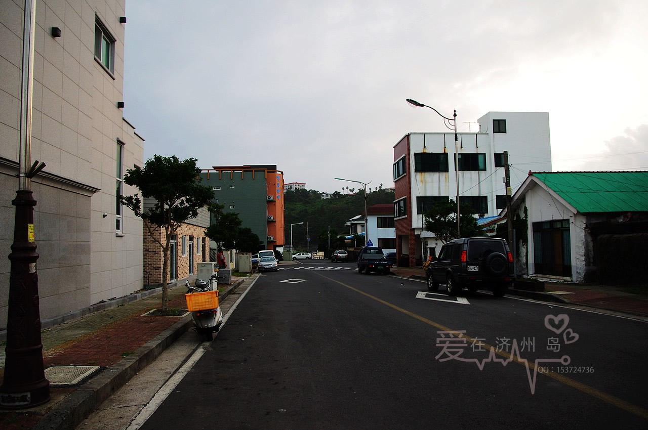 IMGP8790.JPG