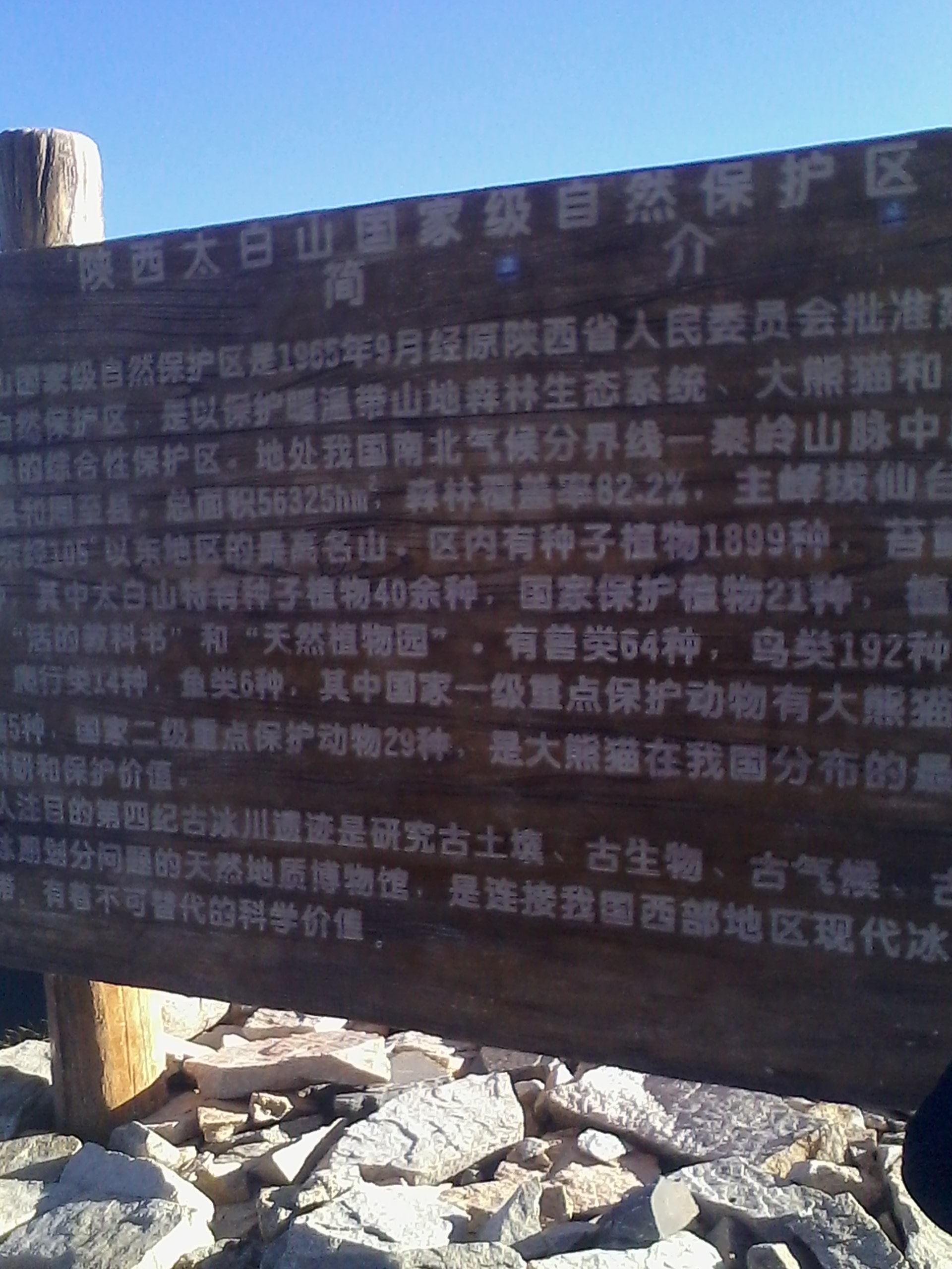 IMG_20130801_181820.jpg