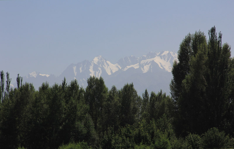 IMG_3670.jpg