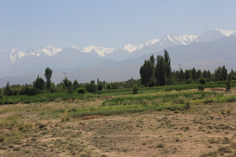 IMG_3667.jpg