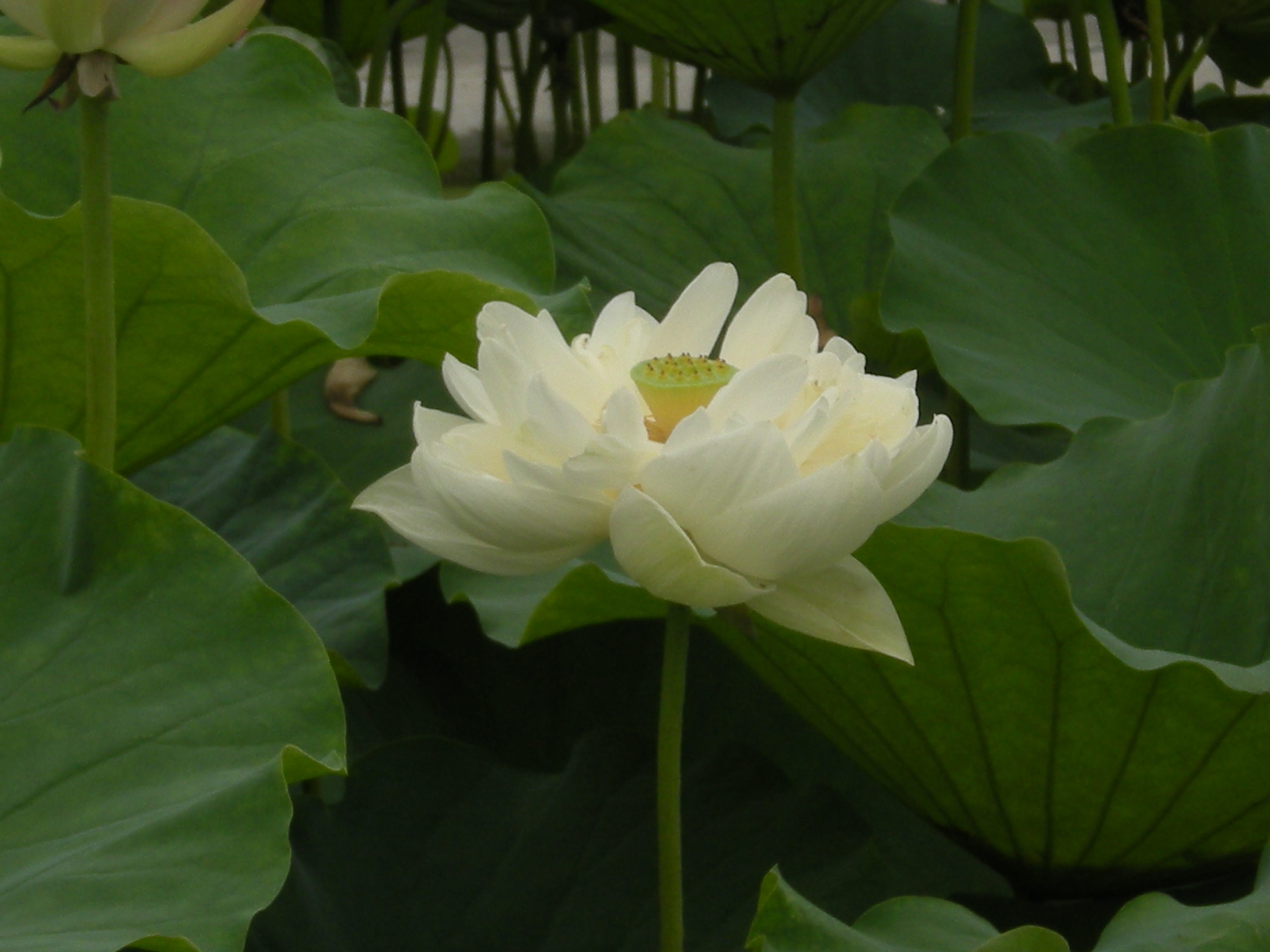 DSCN9576.JPG