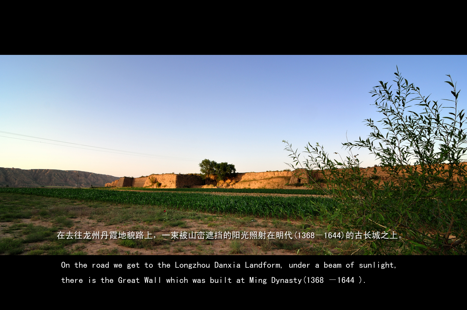DSC_2008.jpg