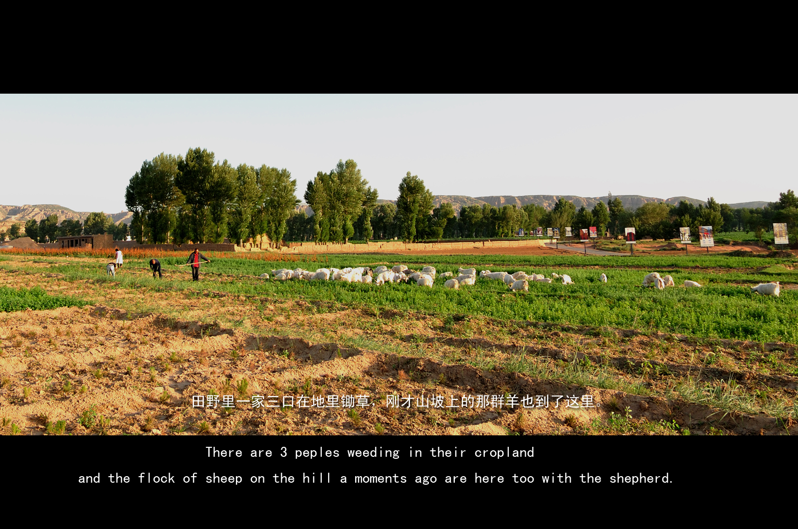 DSC_2194.jpg