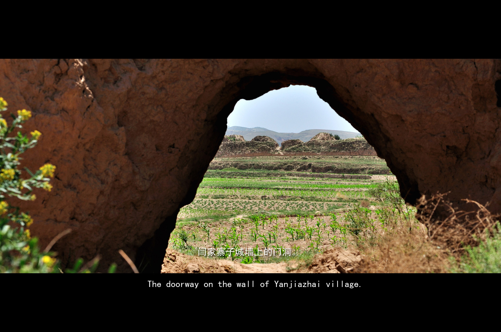 DSC_2424.jpg