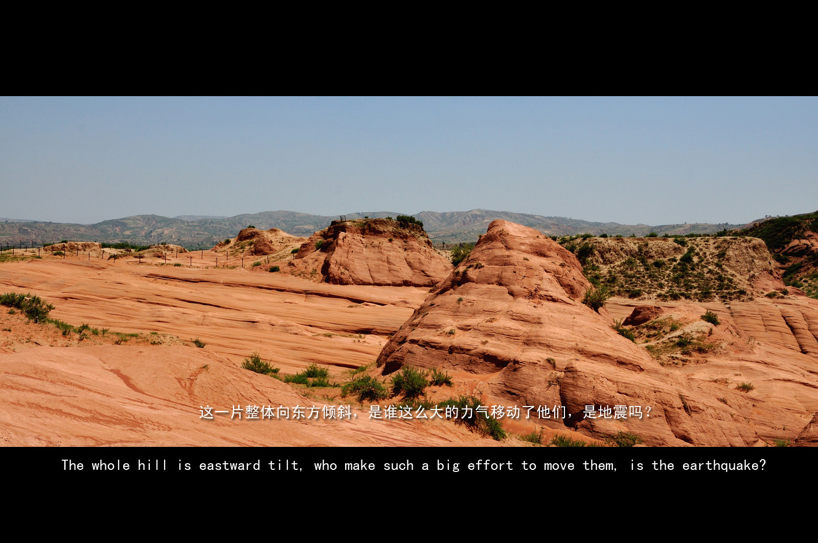 DSC_2467.jpg