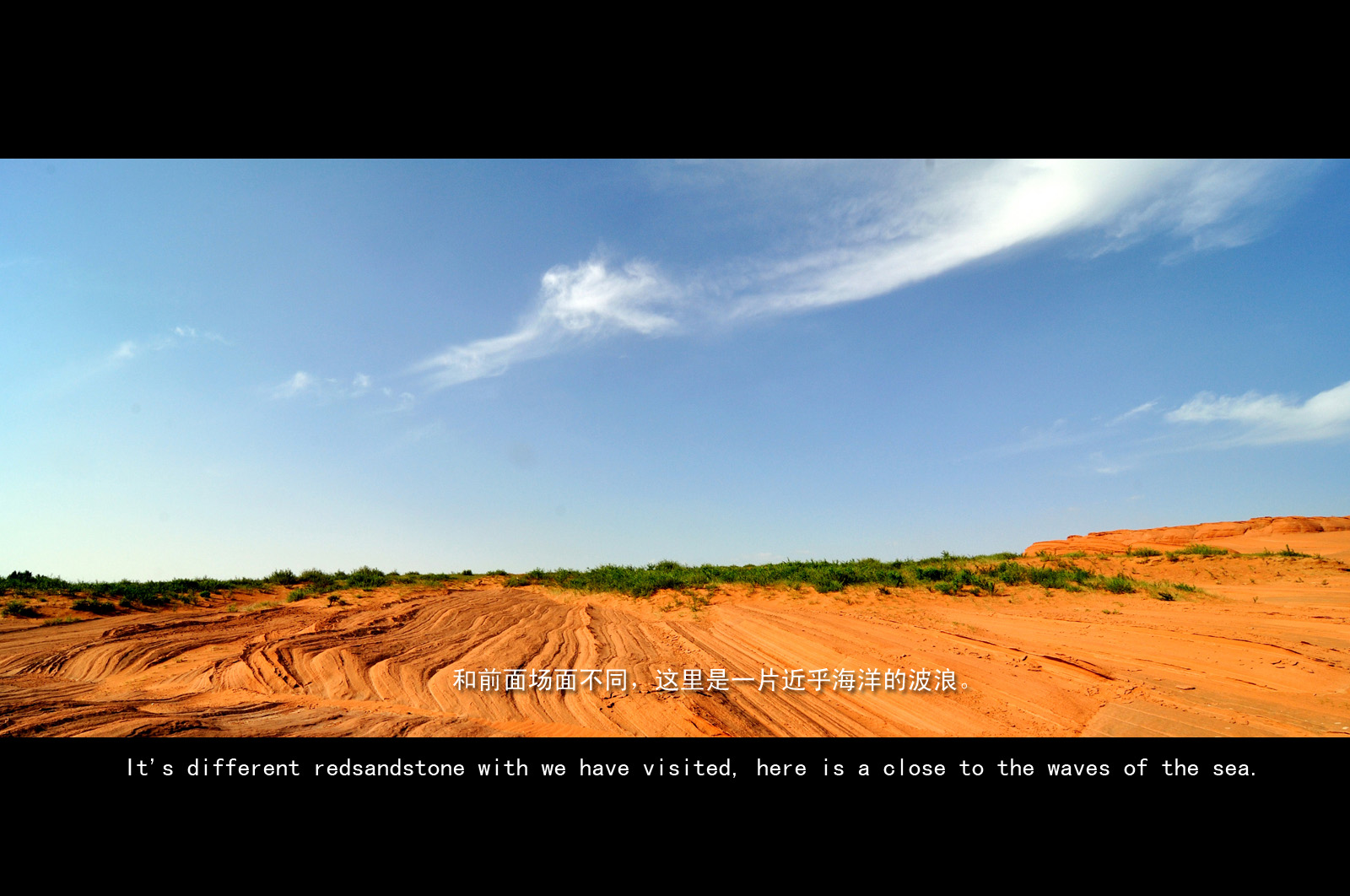 DSC_2476.jpg