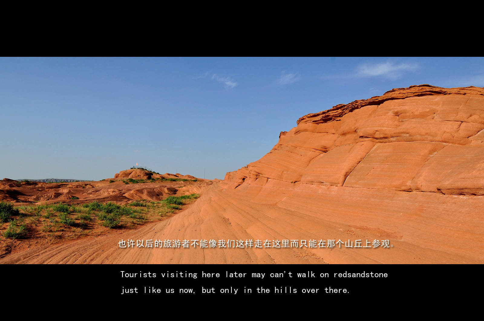 DSC_2488.jpg