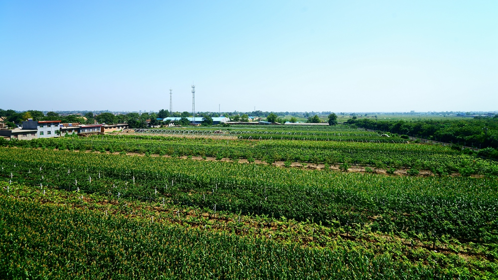 DSC03062.jpg