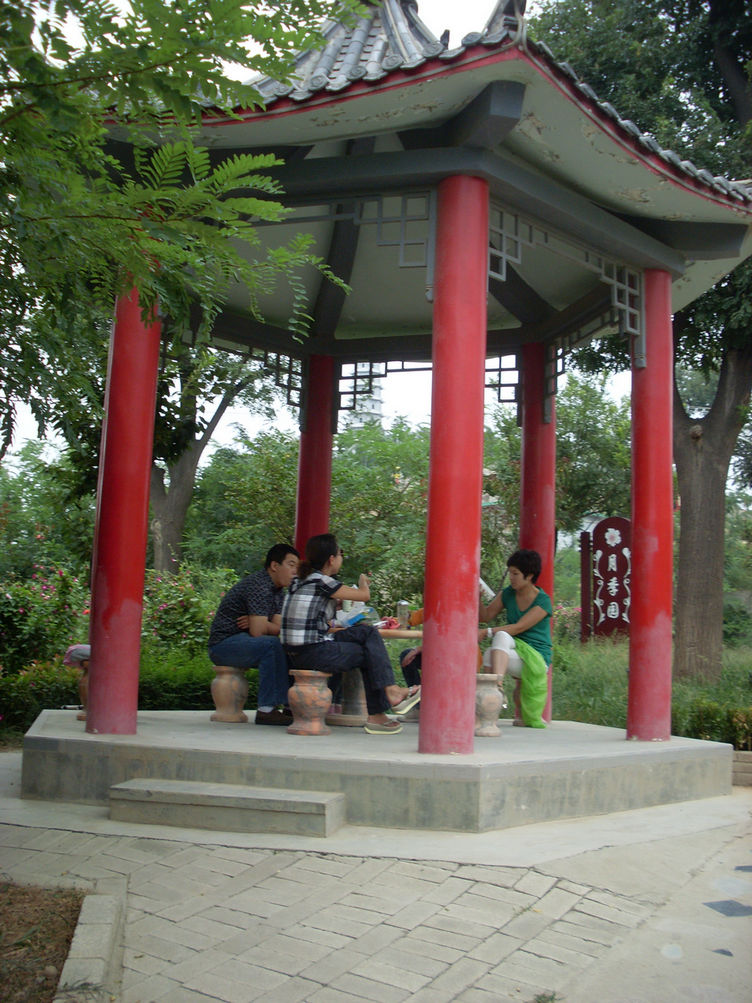 SL382465.JPG