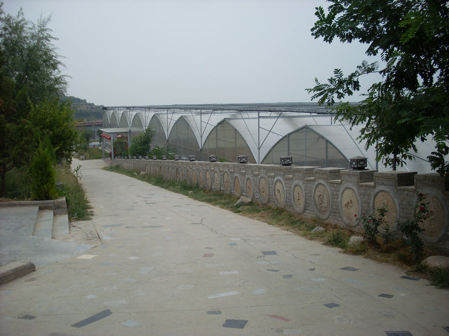 SL382404.JPG
