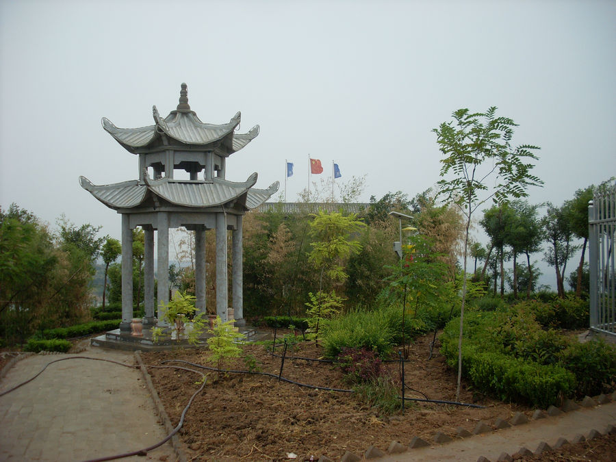 SL382420.JPG