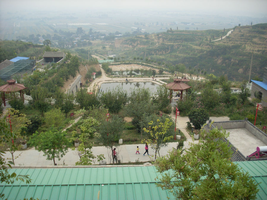 SL382413.JPG