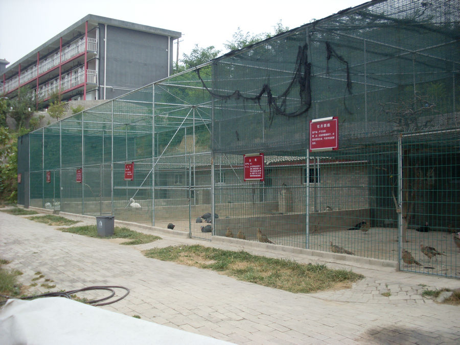 SL382437.JPG