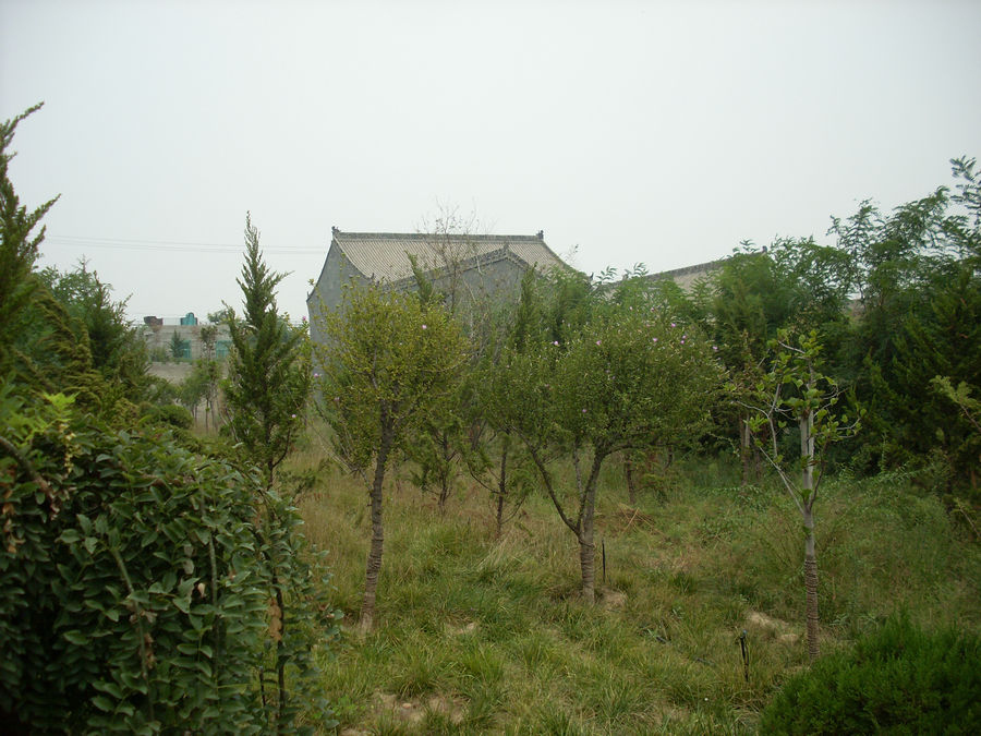 SL382464.JPG