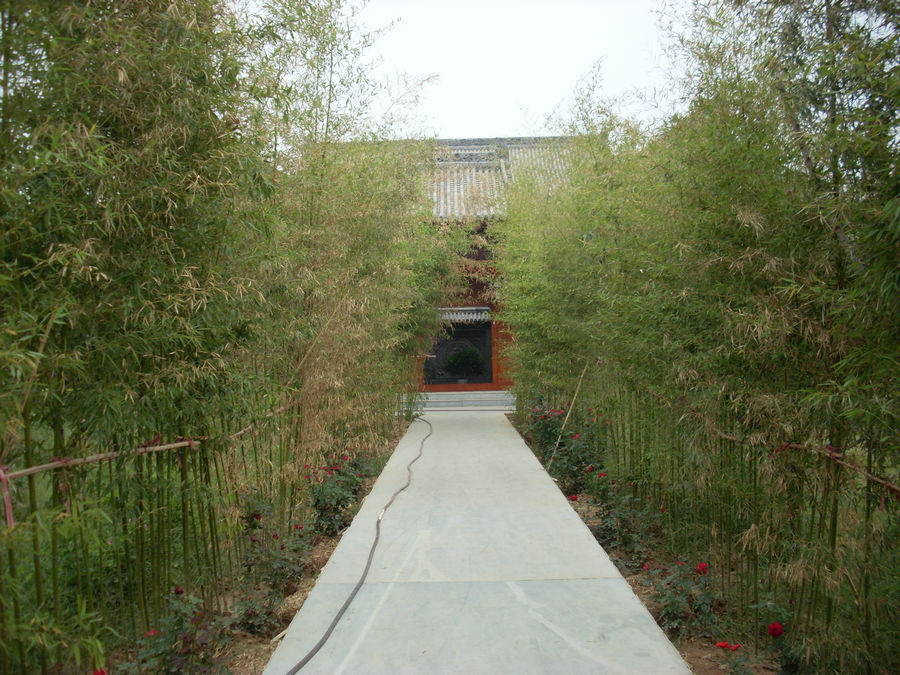 SL382463.JPG