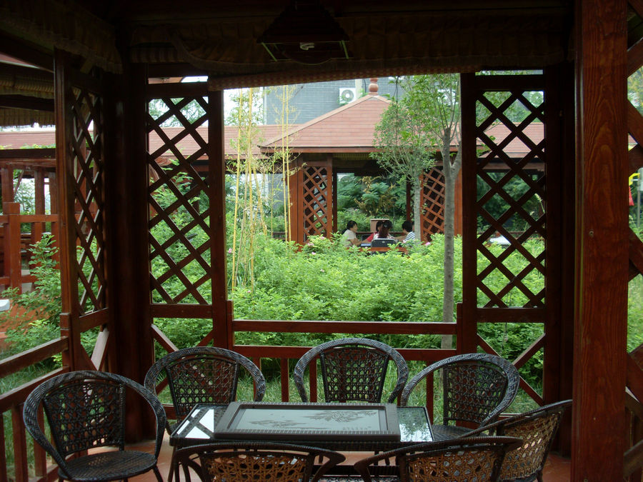 SL382443.JPG
