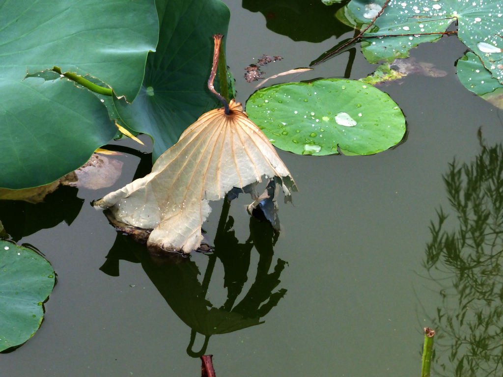 10-P1000330-g-2.jpg