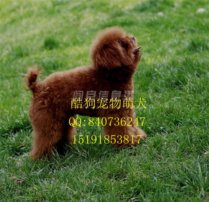 _55QD3P1_%$OOKJ$CG1ZB36_.jpg