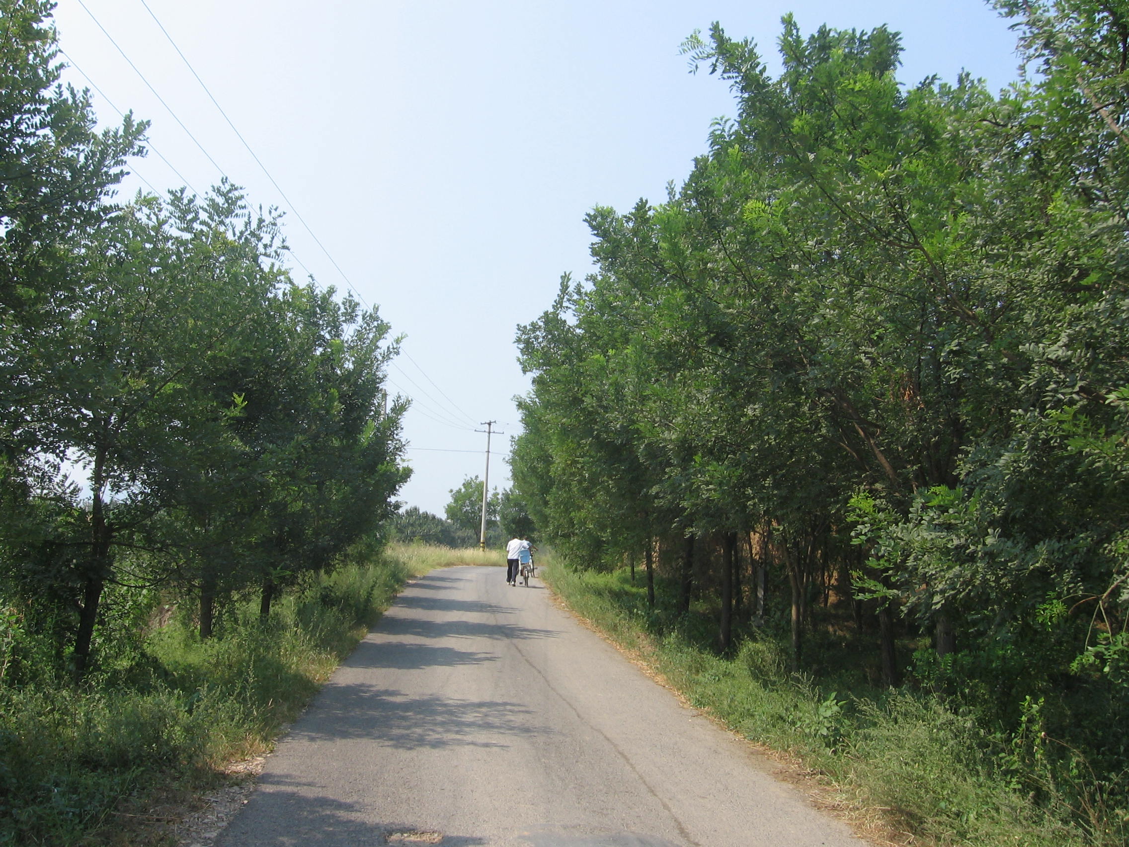 IMG_3253.JPG