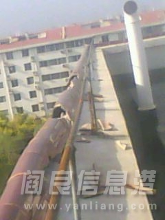 IMG1329A.jpg