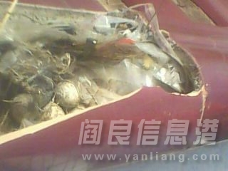 IMG1330A.jpg