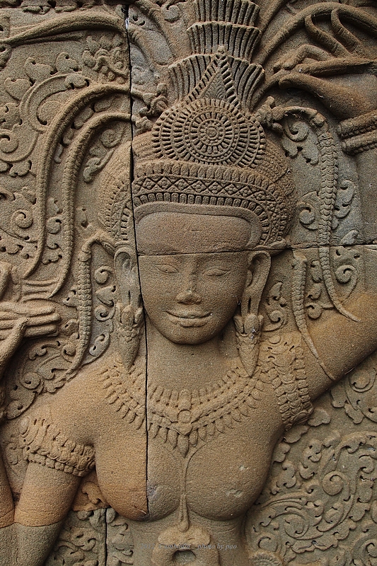 PA087816.jpg