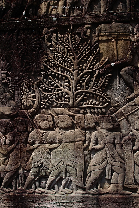 PA087910.jpg