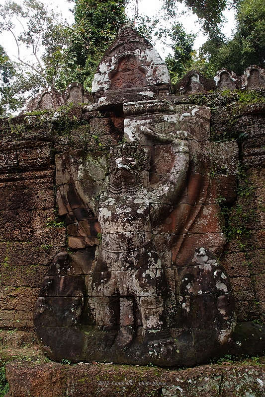 PA066979.jpg