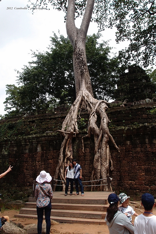 PA066895.jpg