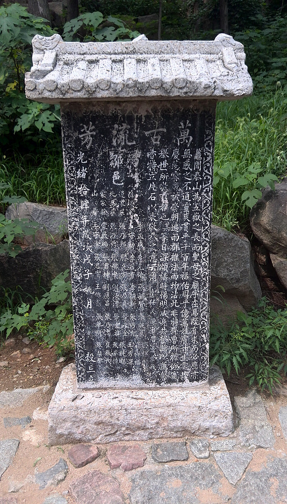 IMG_20130731_101350.jpg