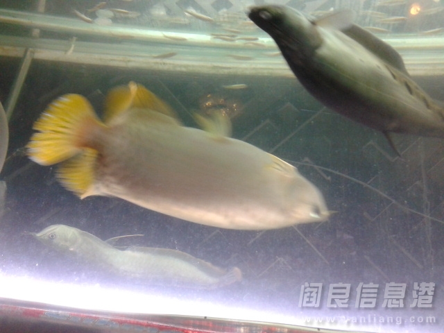 20131020_135734.jpg